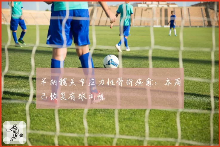 辛纳髋关节应力性骨折痊愈,本周已恢复有球训练