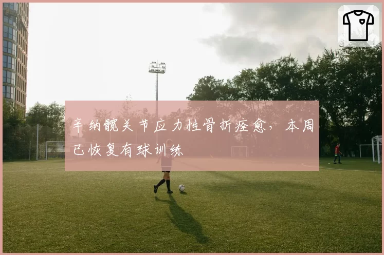 辛纳髋关节应力性骨折痊愈,本周已恢复有球训练